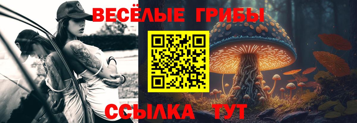 Псилоцибиновые грибы мухоморы  Псилоцибиновые грибы Psilocybine cubensis  Вход с VPN  Заволжье 